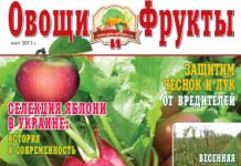 Журнал №3 2013 года Журнал №3 2013 года
