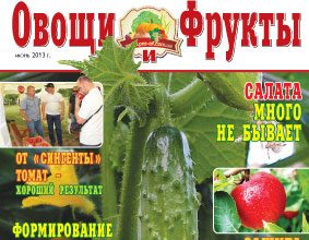 Журнал №6 2013 года Журнал №6 2013 года