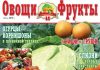 Журнал №7 2010 года Журнал №7 2010 года