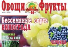 Журнал №8 2010 года Журнал №9 2010 года