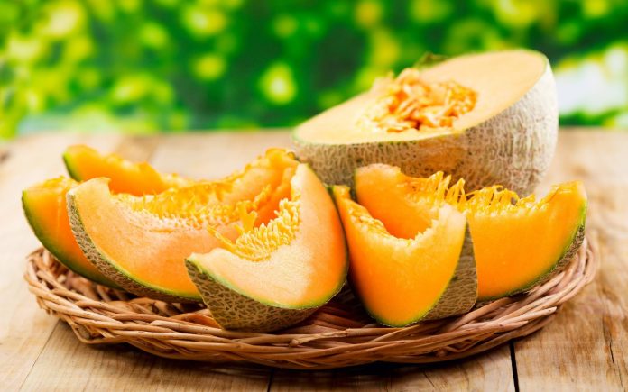 cantaloupe_melon_0