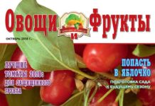 Журнал №10 2018 года
