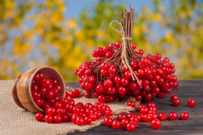 shutterstock_574843486