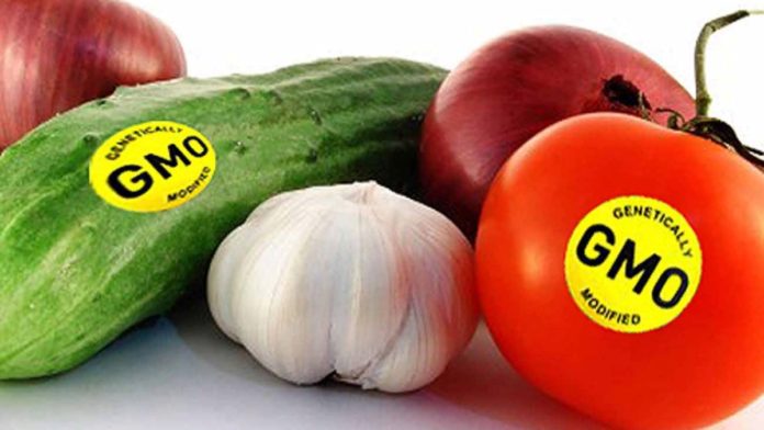 gmo