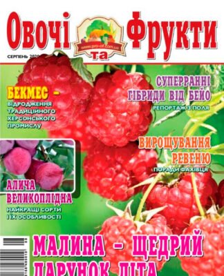 Журнал №8 2020 года