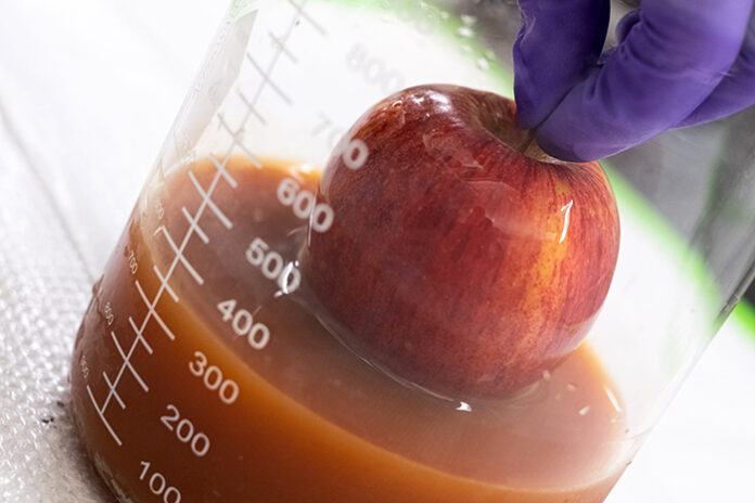 0608_EGGS-2-web