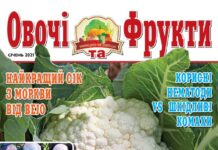 Журнал №1 2021 года