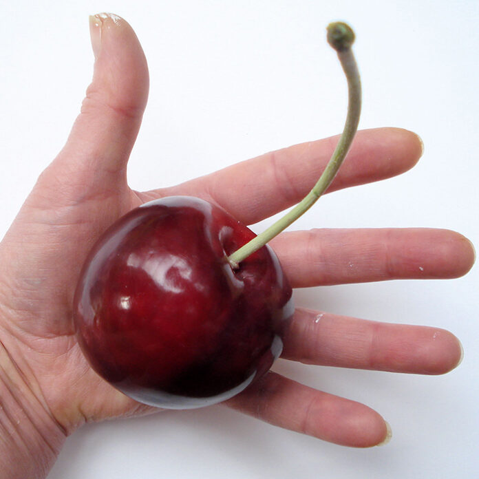 giant cherry