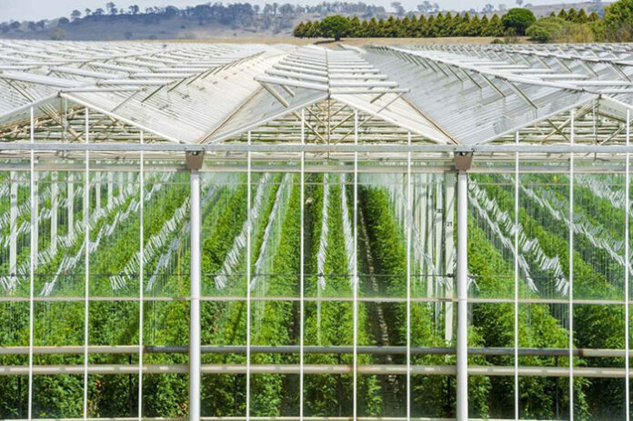 Australia's protected crop garden 2