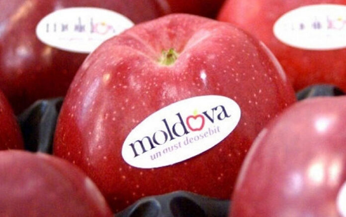 moldova apple