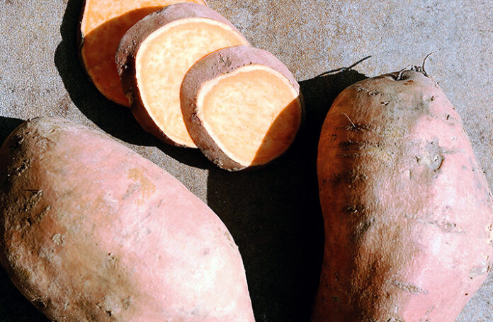 Sweet potato