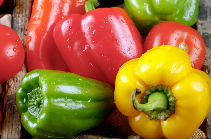 Color bell peppers in a rustic tray with water drops on them.