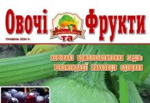Журнал №05 2024 року