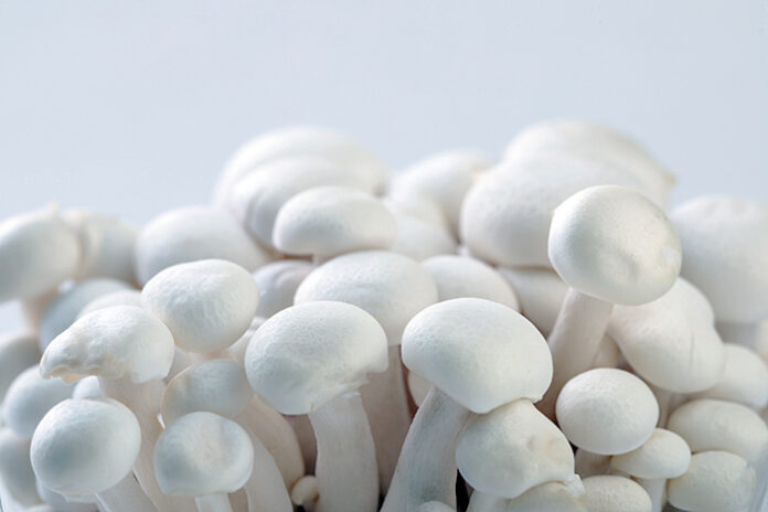 mushrooms