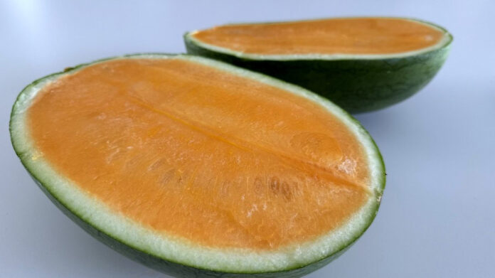sandianaranja